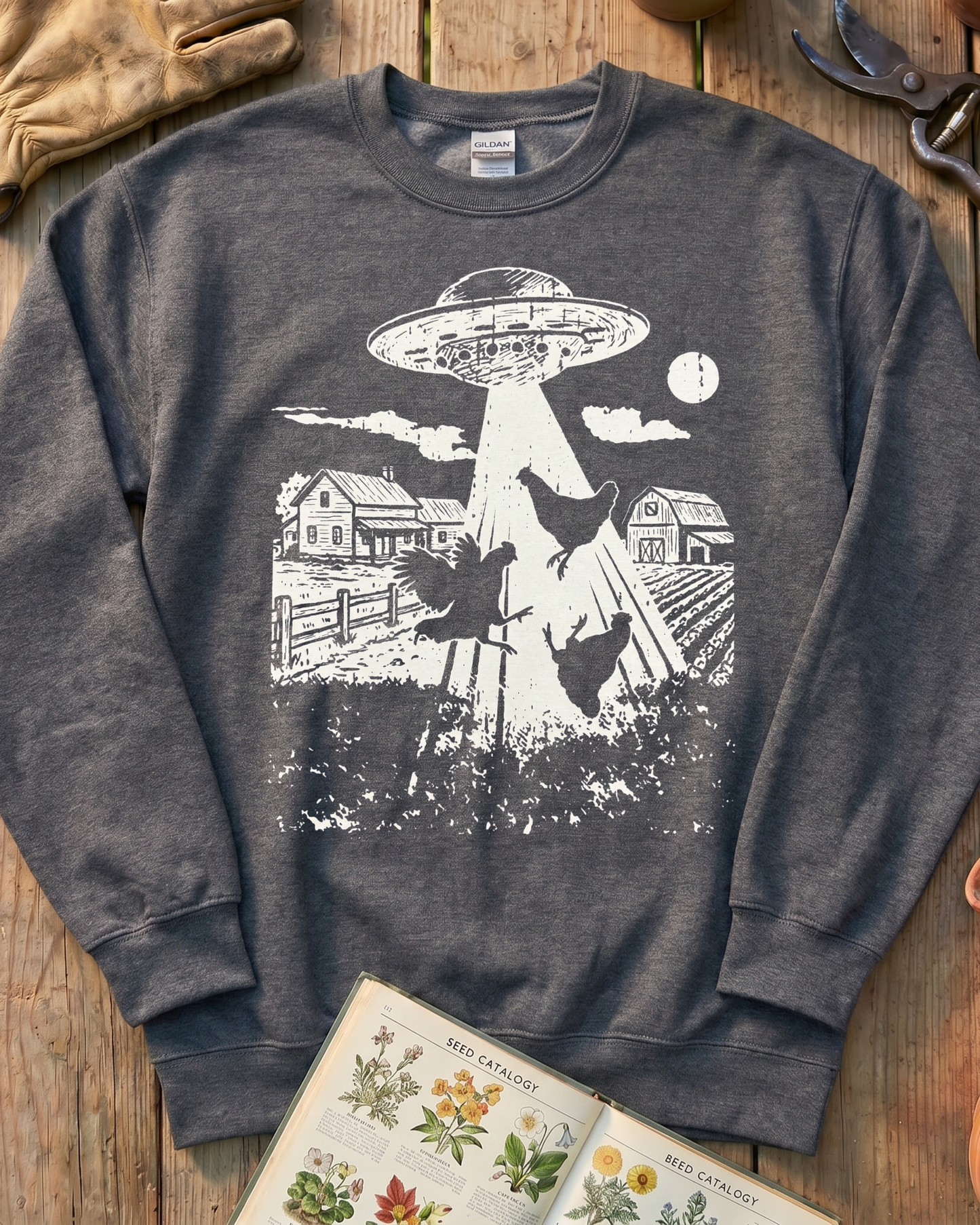 UFO Chickens Hoodie