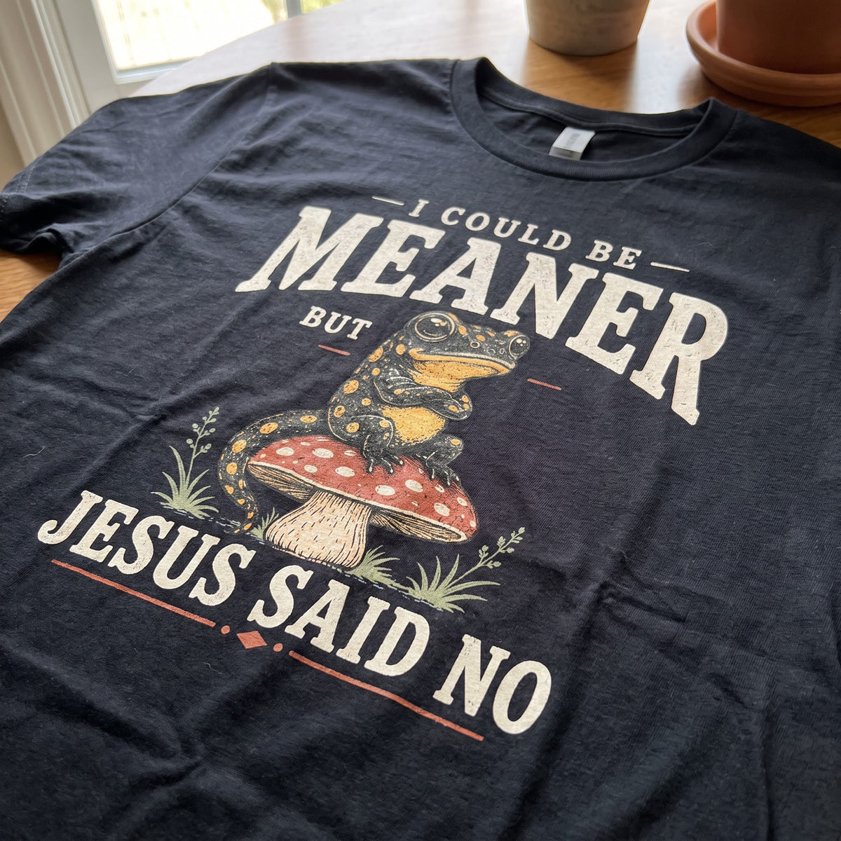 Jesus Said No T-Shirt