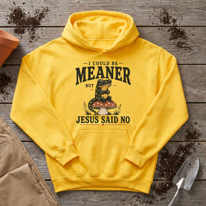 Jesus Said No Hoodie