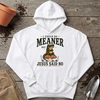 Jesus Said No Hoodie