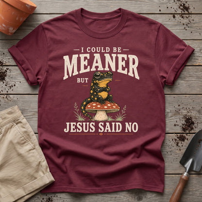 Jesus Said No T-Shirt